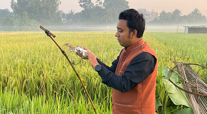 গুরুদাসপুরে শিকারির ফাঁদ থেকে ২৫টি বক উদ্ধার করে অবমুক্ত